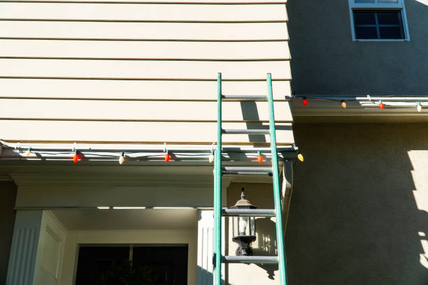 Best Stone Veneer Siding  in Heber, CA